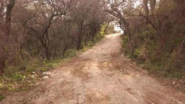 Foto 17
