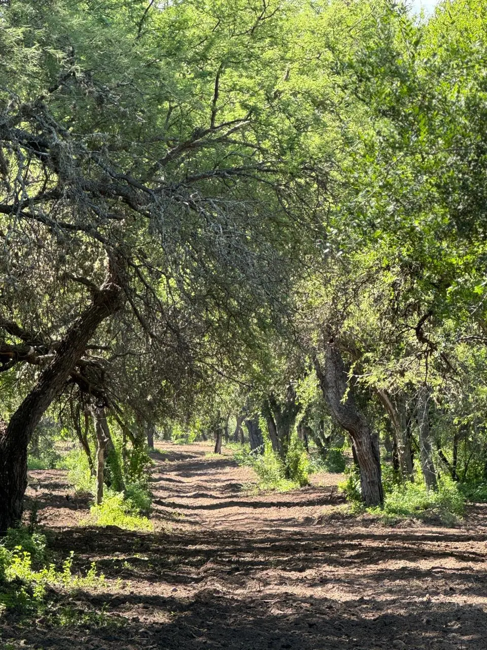Terreno en venta · San Javier, San Javier, Córdoba