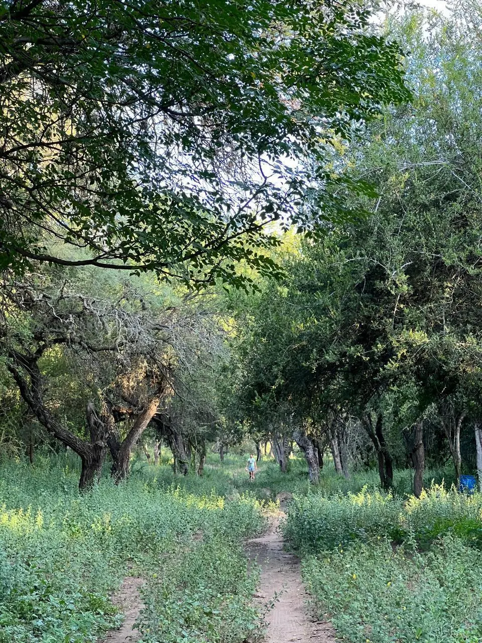 Foto 16