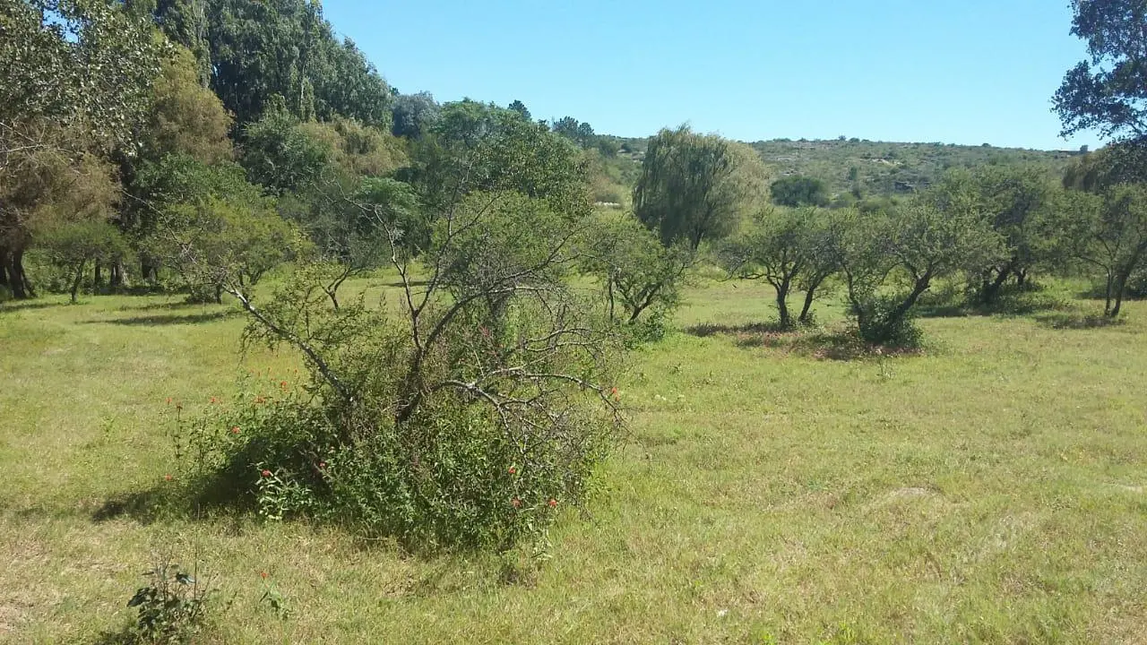 Foto 11