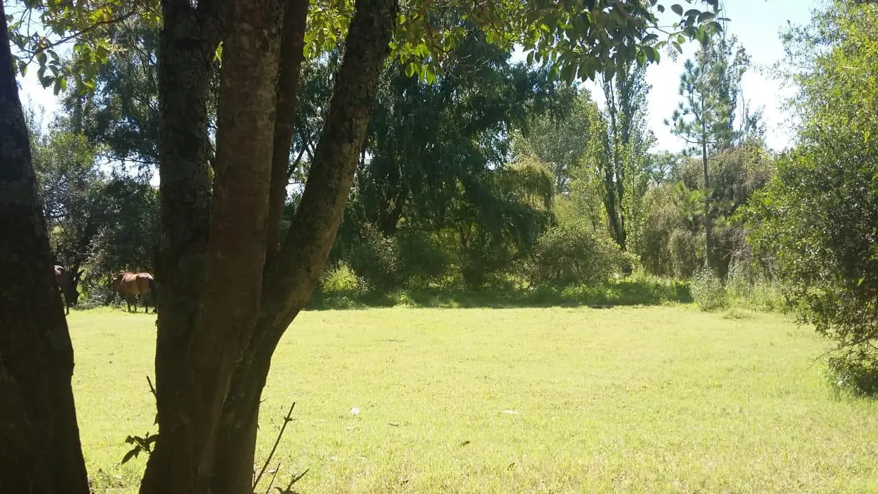 Foto 13