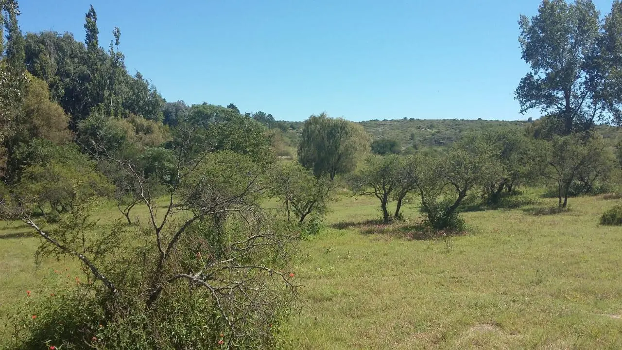 Foto 8
