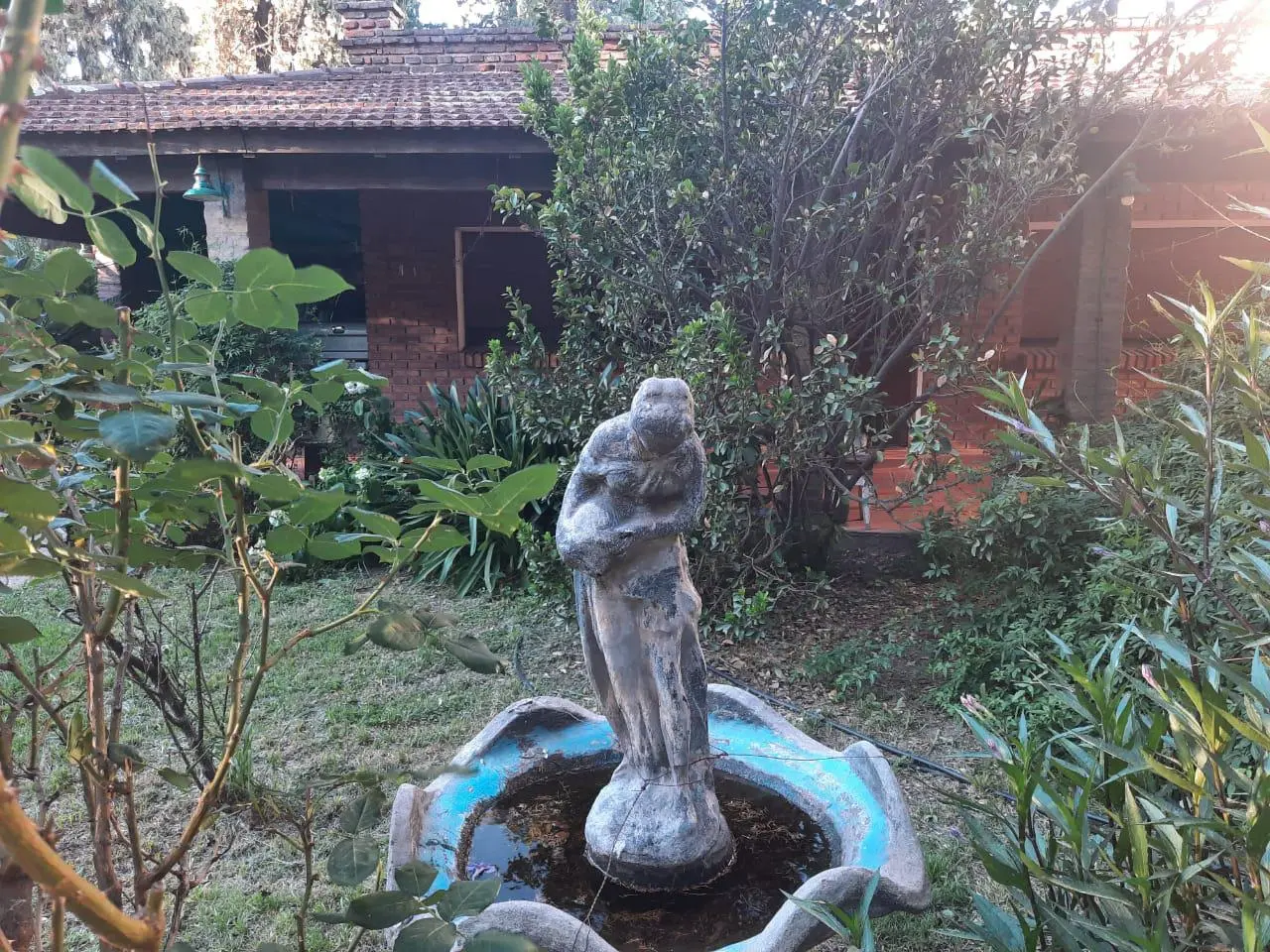 Foto 6