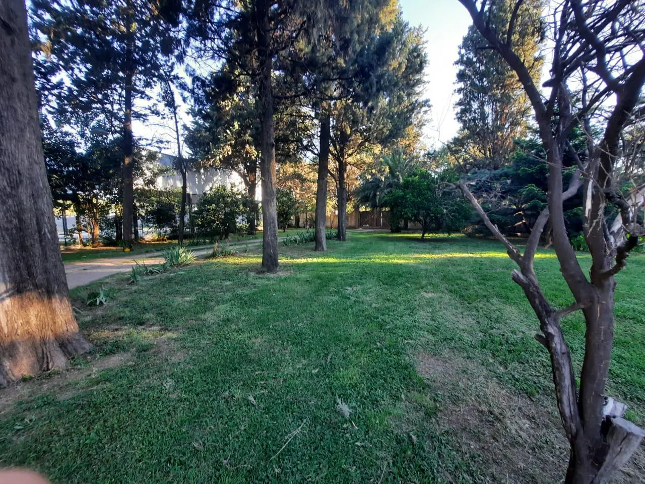 Foto 45