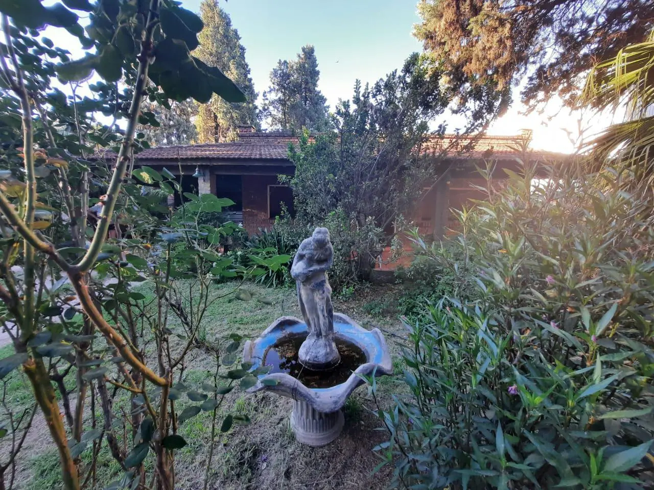 Foto 7