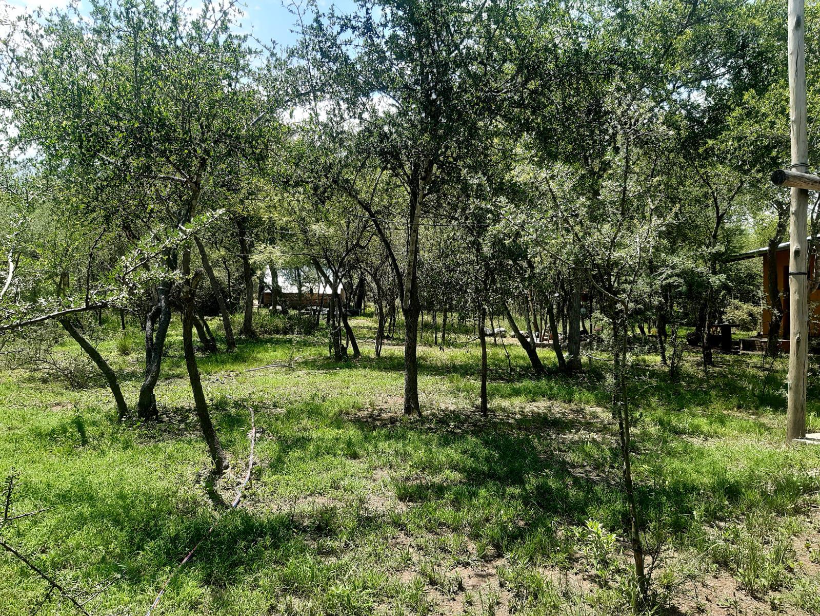 Foto 41