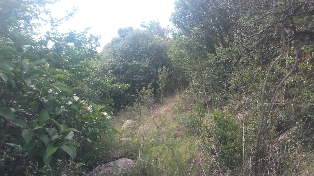 Foto 13