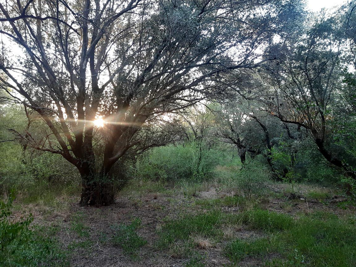 Foto 18