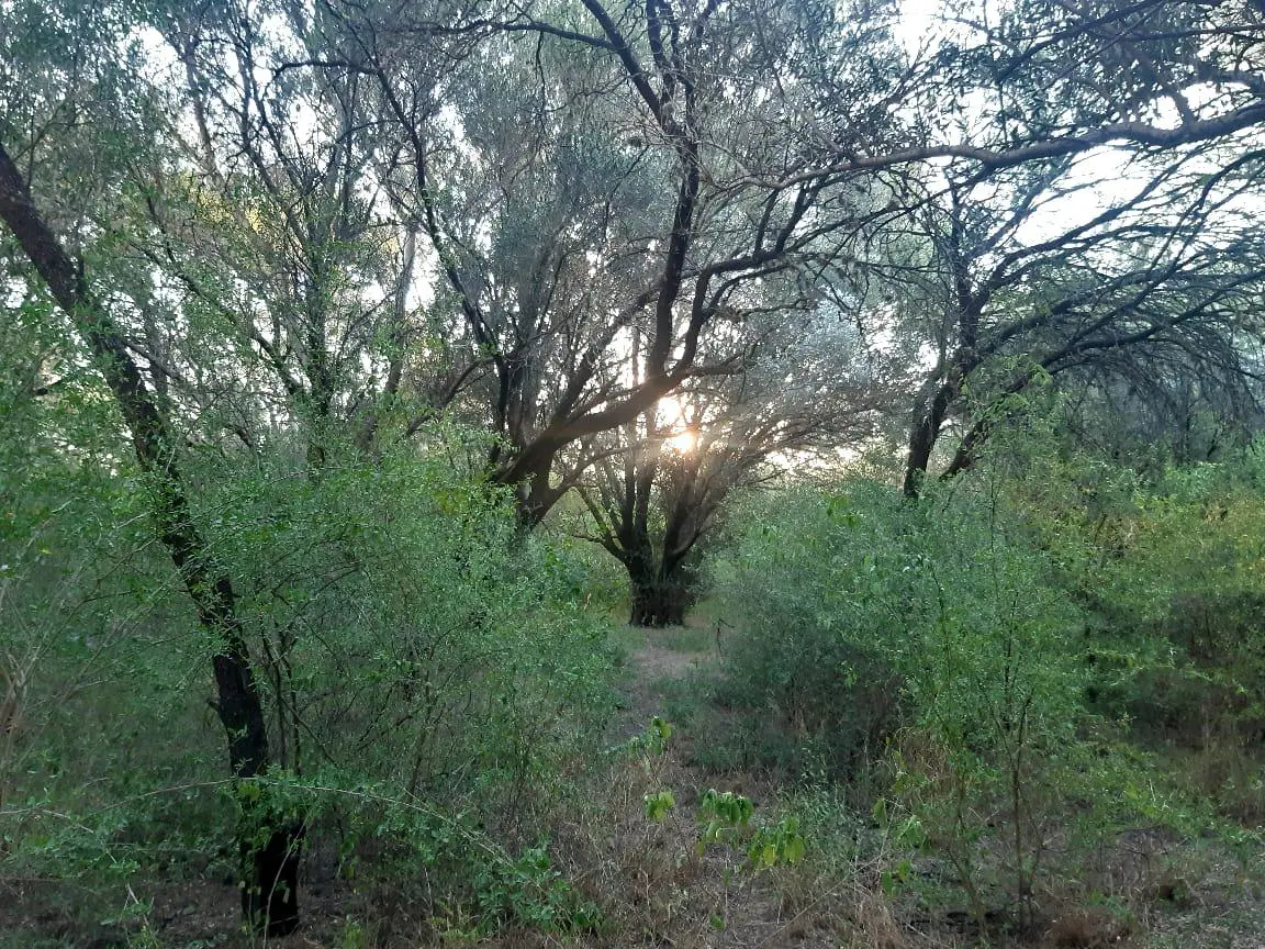 Foto 19