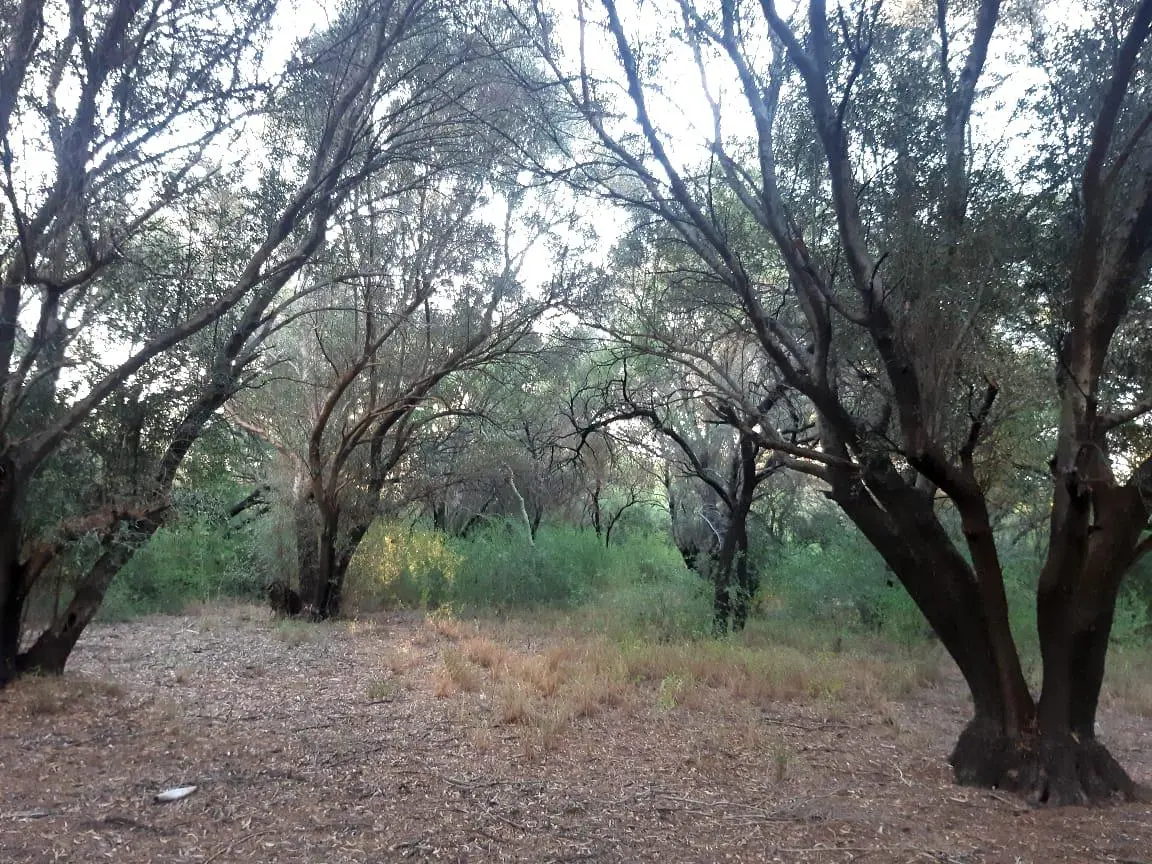 Terreno en venta · San Javier, Córdoba