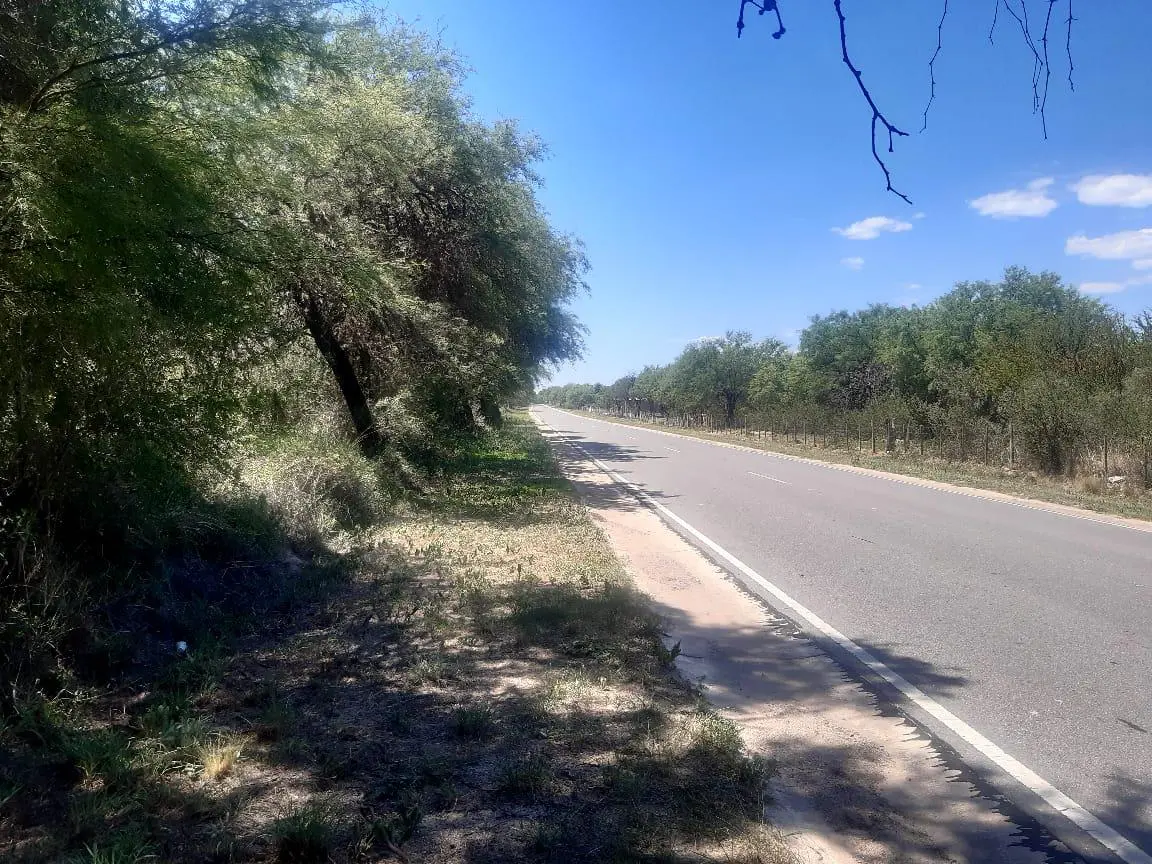 Foto 14