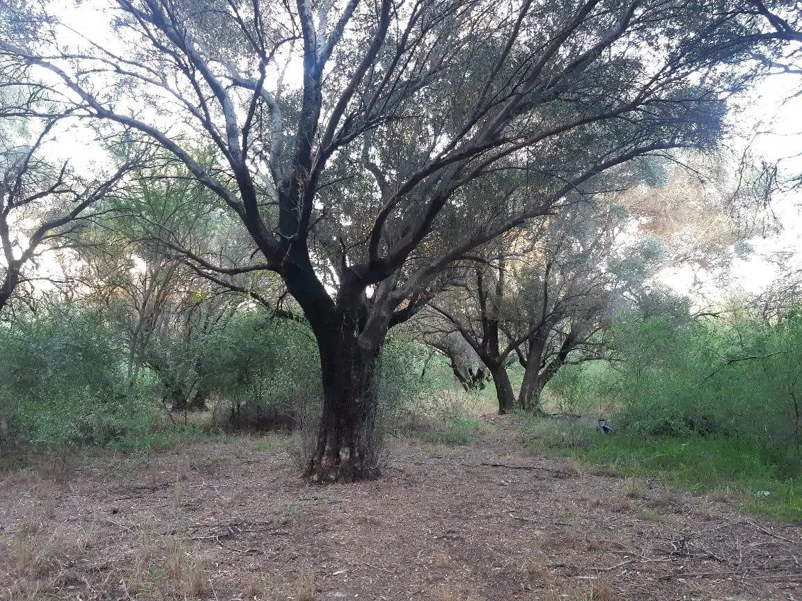 Foto 21