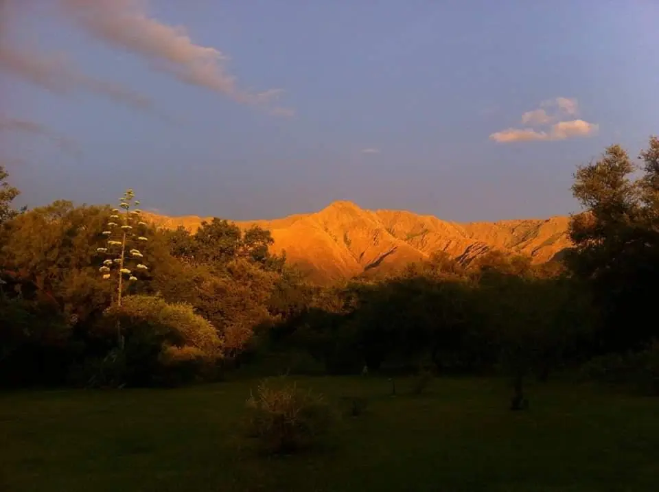 Foto 6