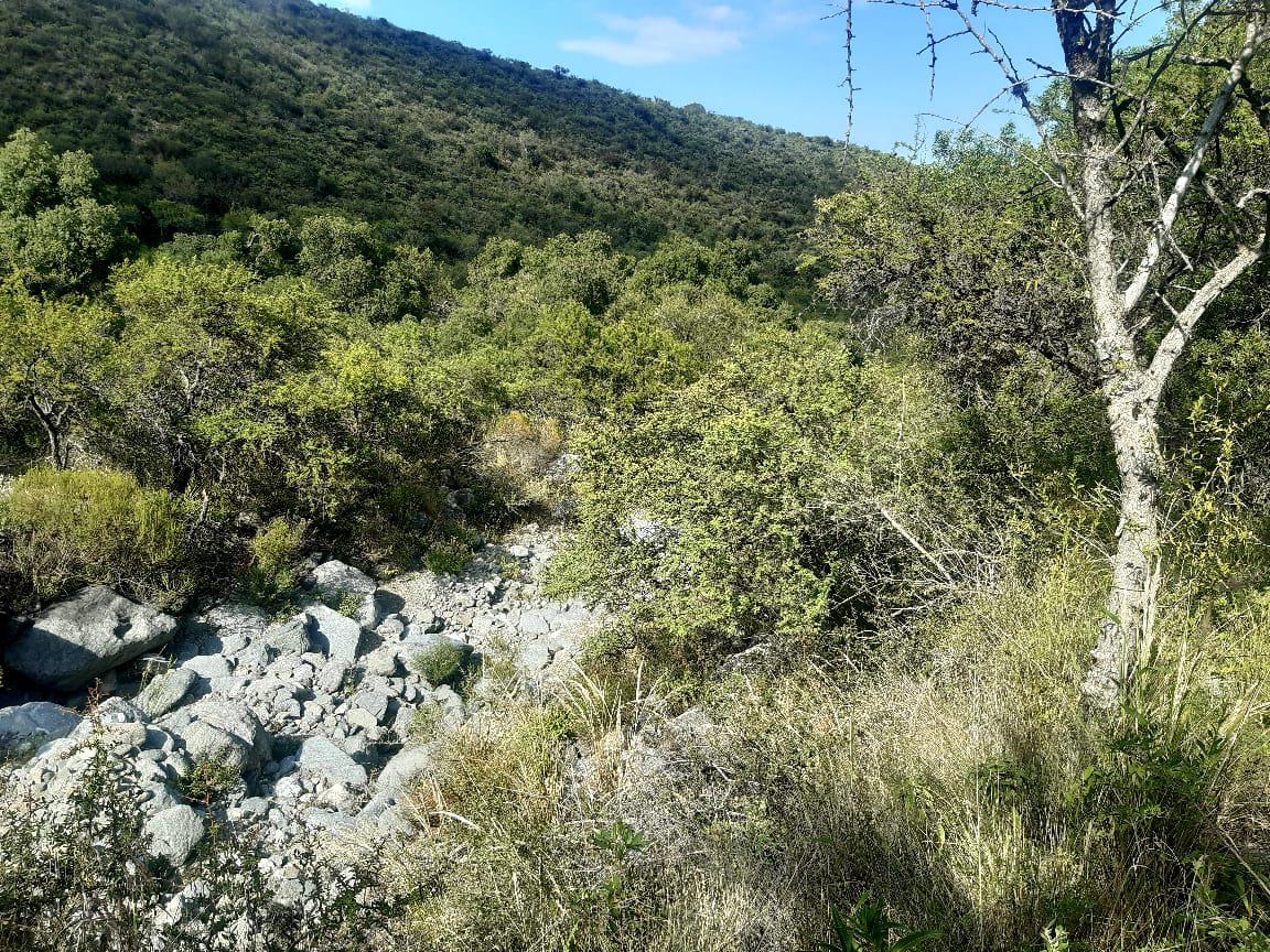 Foto 15