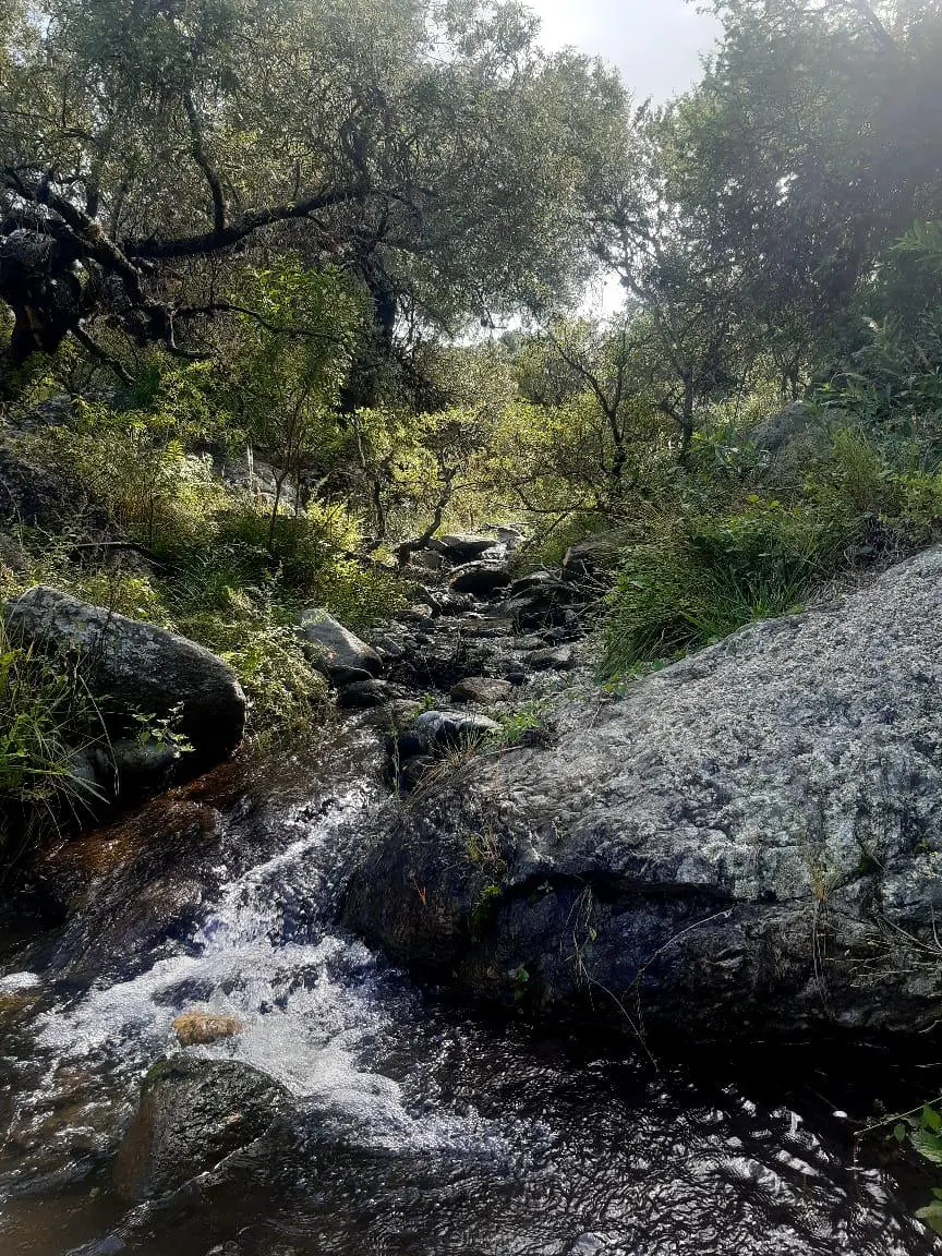 Foto 18