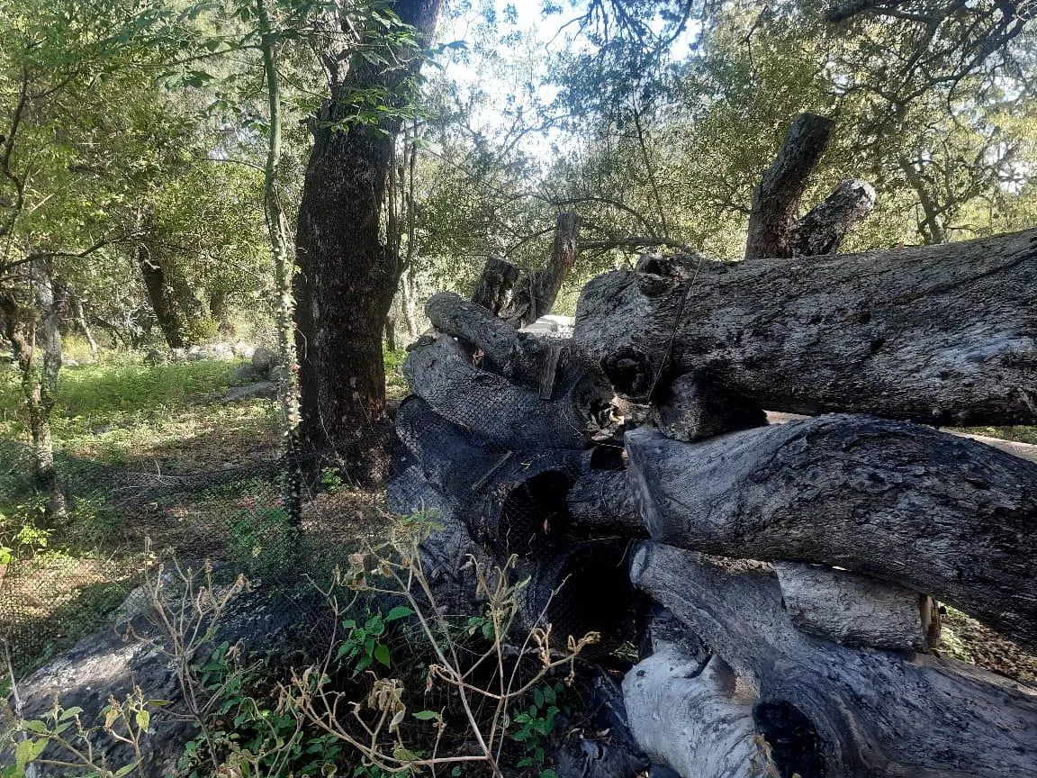 Foto 16