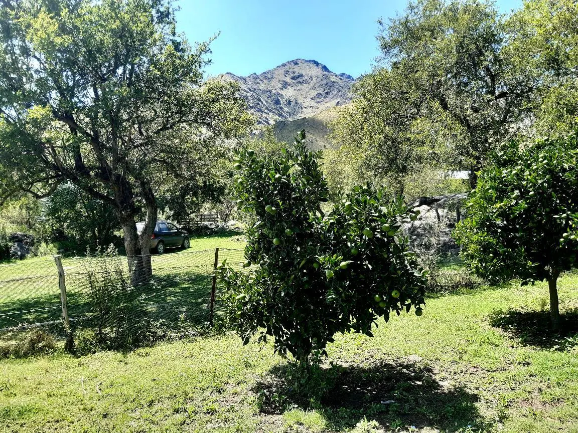 Foto 20