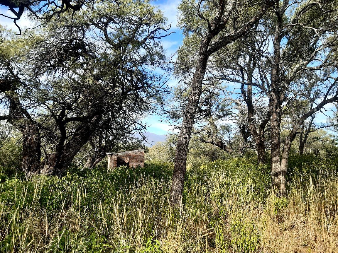 Terreno en venta · San Javier, Córdoba