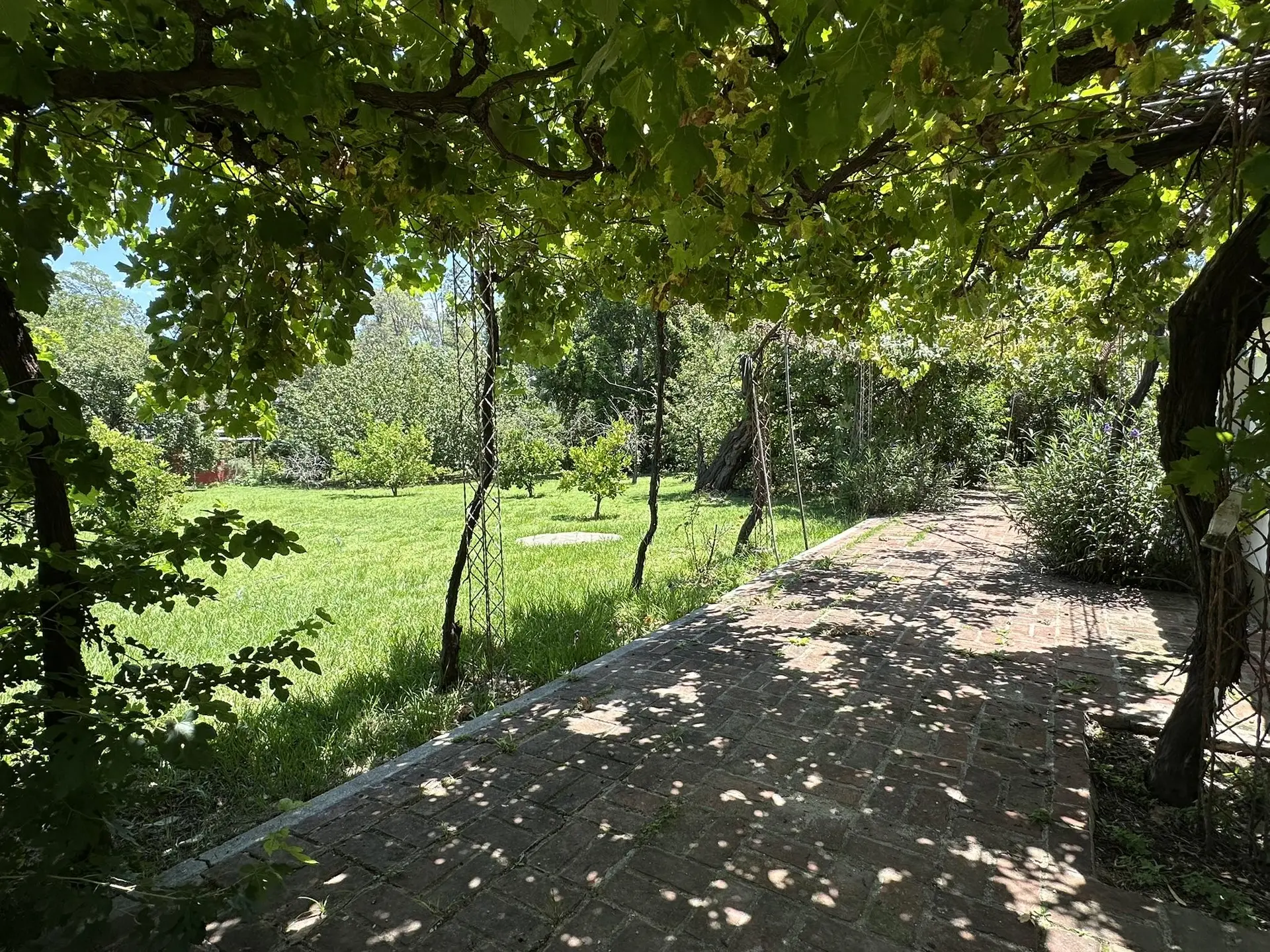 Foto 32