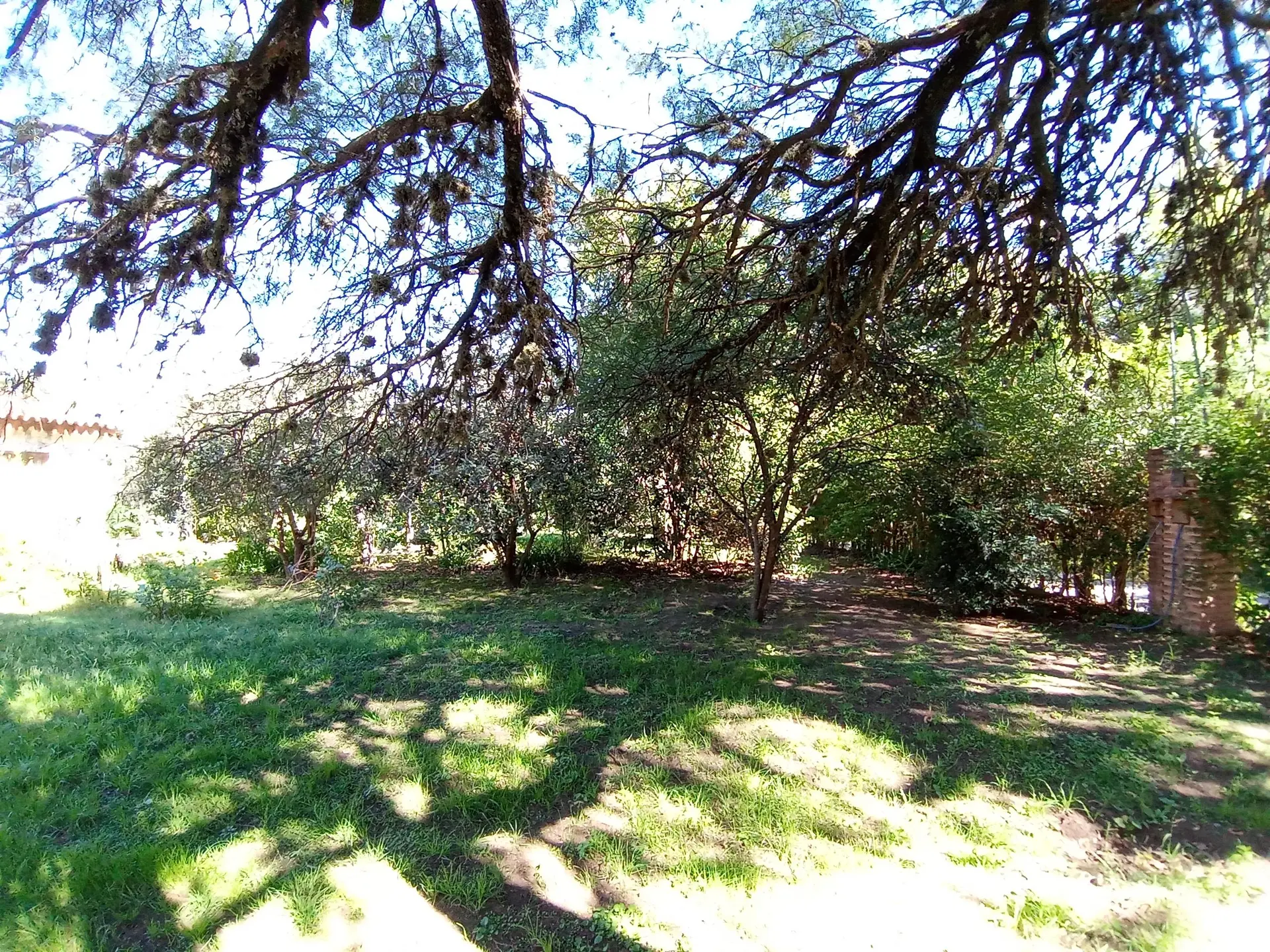 Foto 36