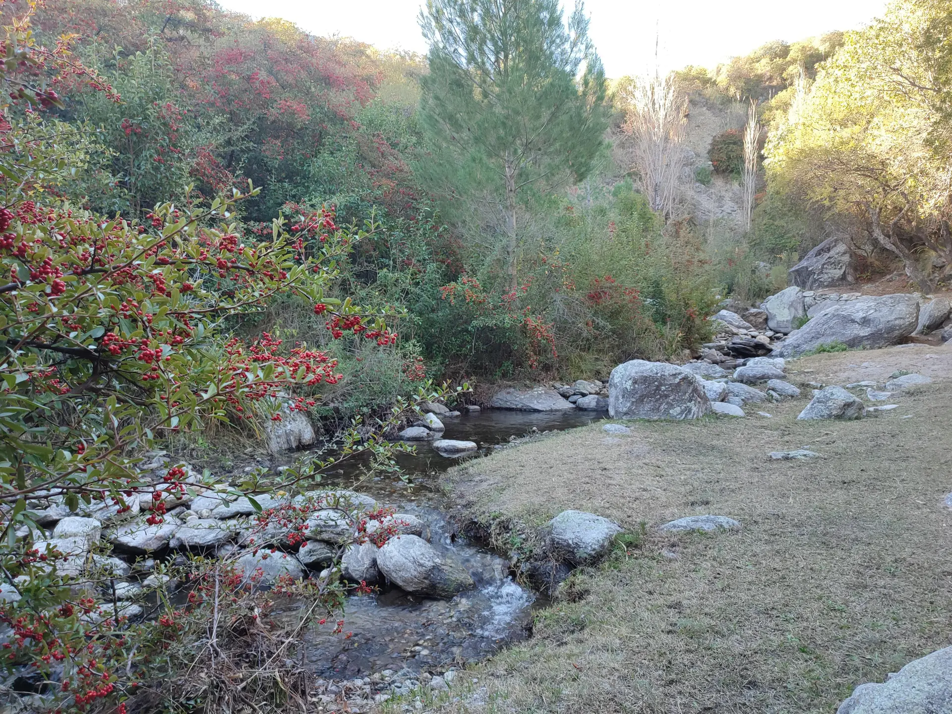 Foto 3