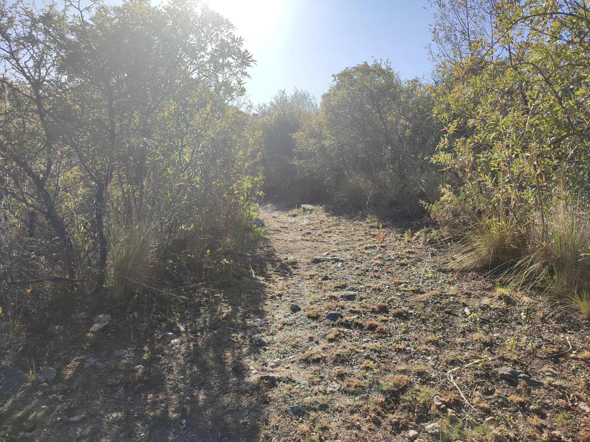 Foto 11