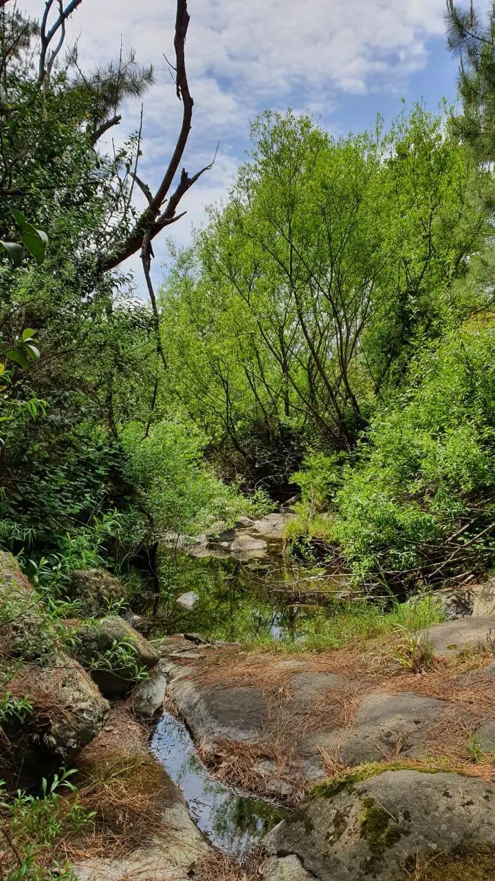 Foto 12
