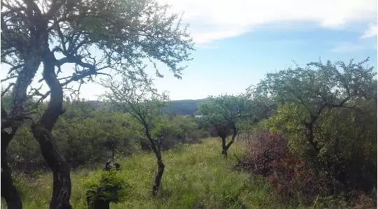 Terreno en venta · Las Rabonas, San Alberto, Córdoba