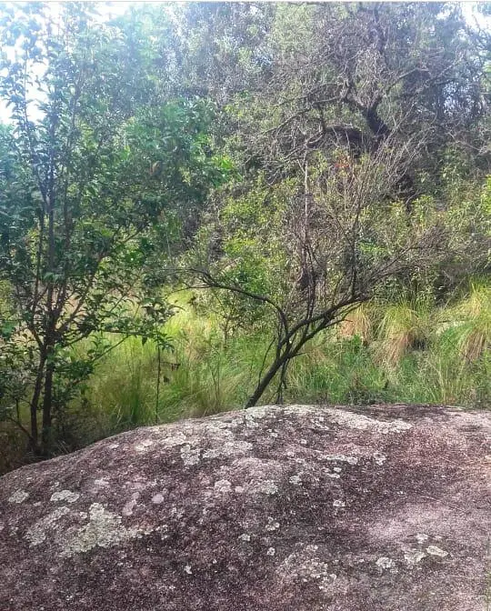 Terreno en venta · Las Rabonas, San Alberto, Córdoba