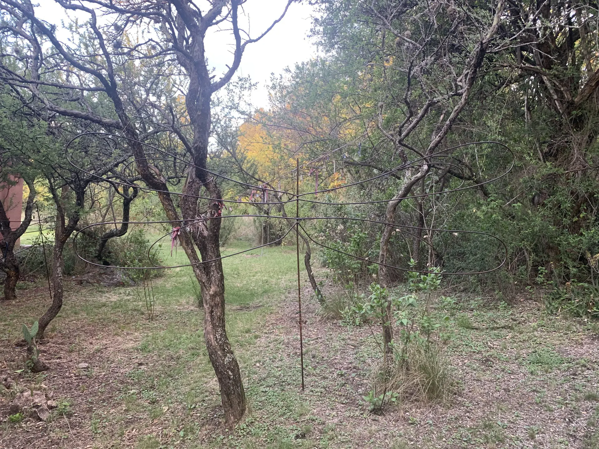 Foto 13