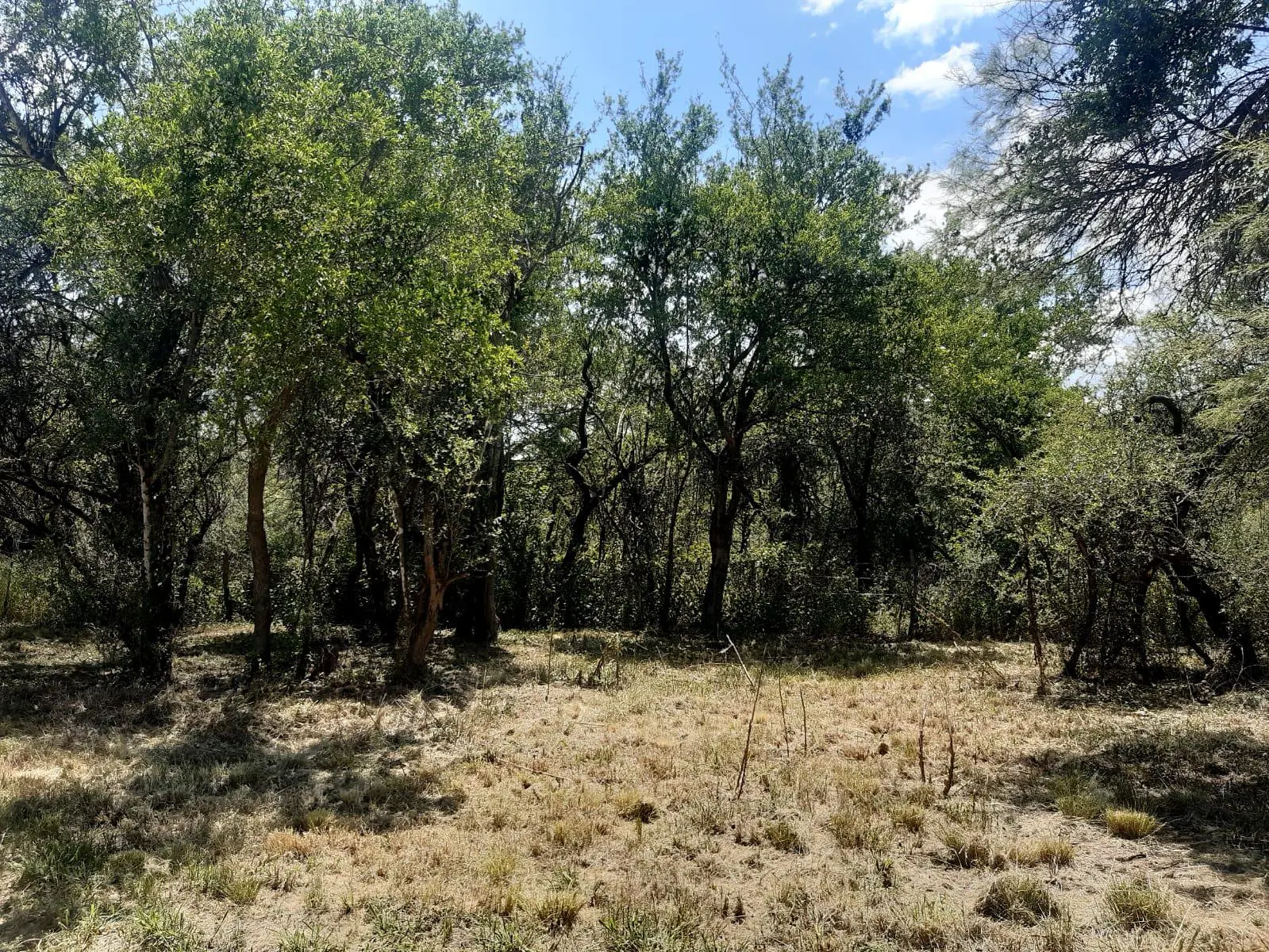 Terreno en venta · Villa de las Rosas, San Javier, Córdoba