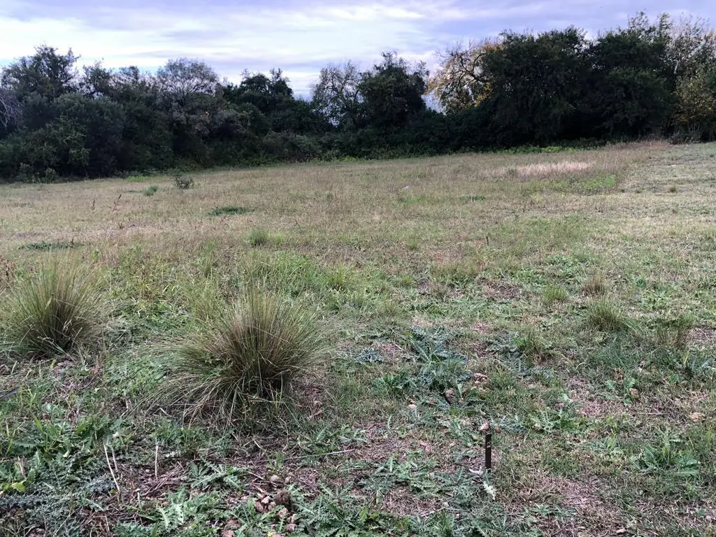 Foto 17