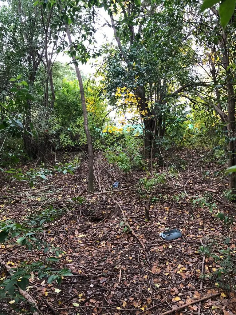 Foto 14