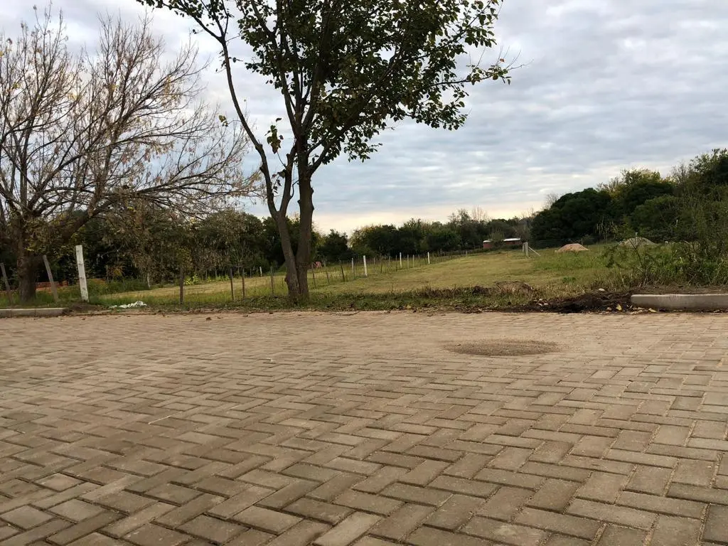 Foto 6