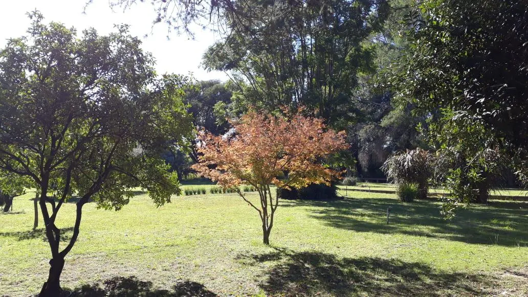 Foto 31
