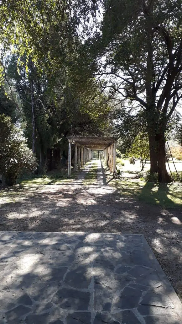Foto 10