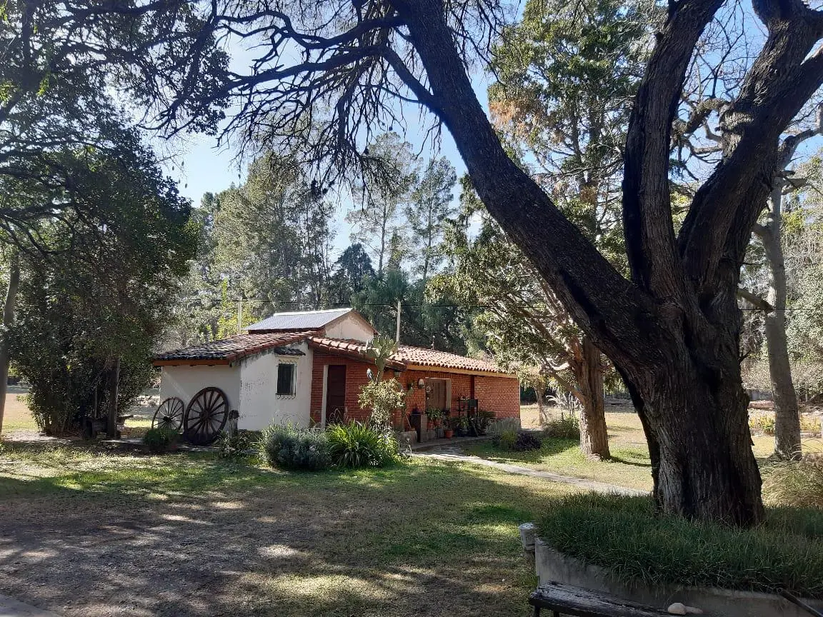 Foto 29