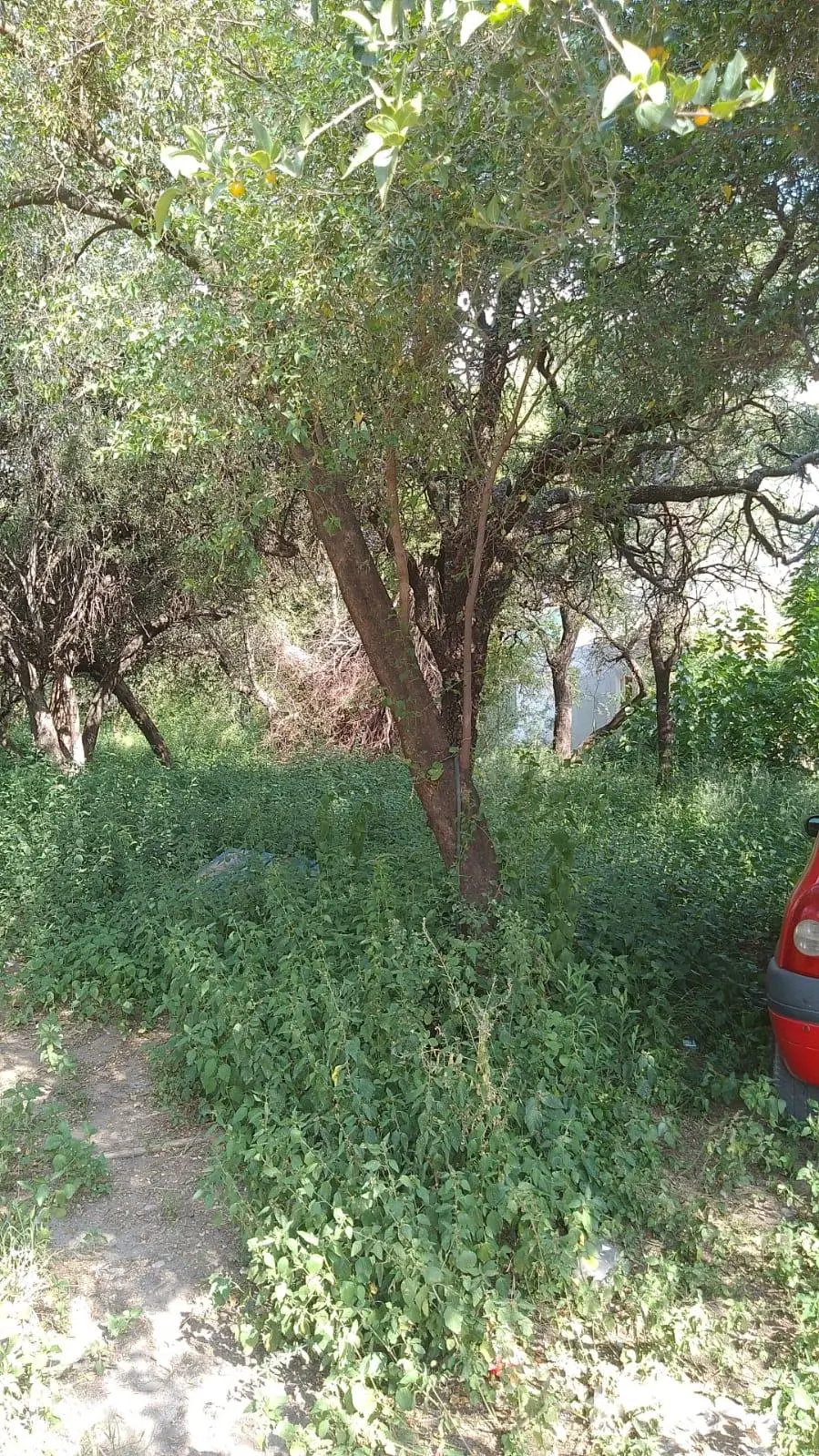 Terreno en venta · Villa de las Rosas, San Javier, Córdoba