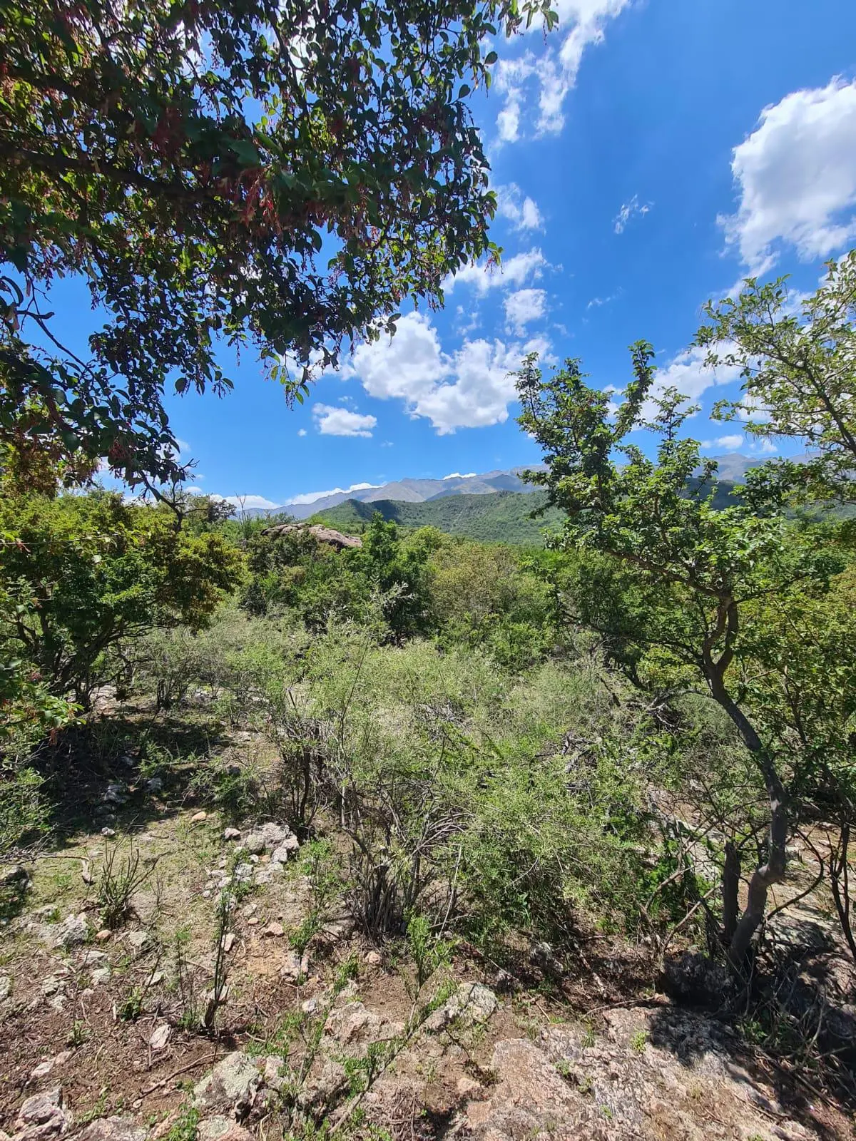 Terreno en venta · Villa de las Rosas, San Javier, Córdoba