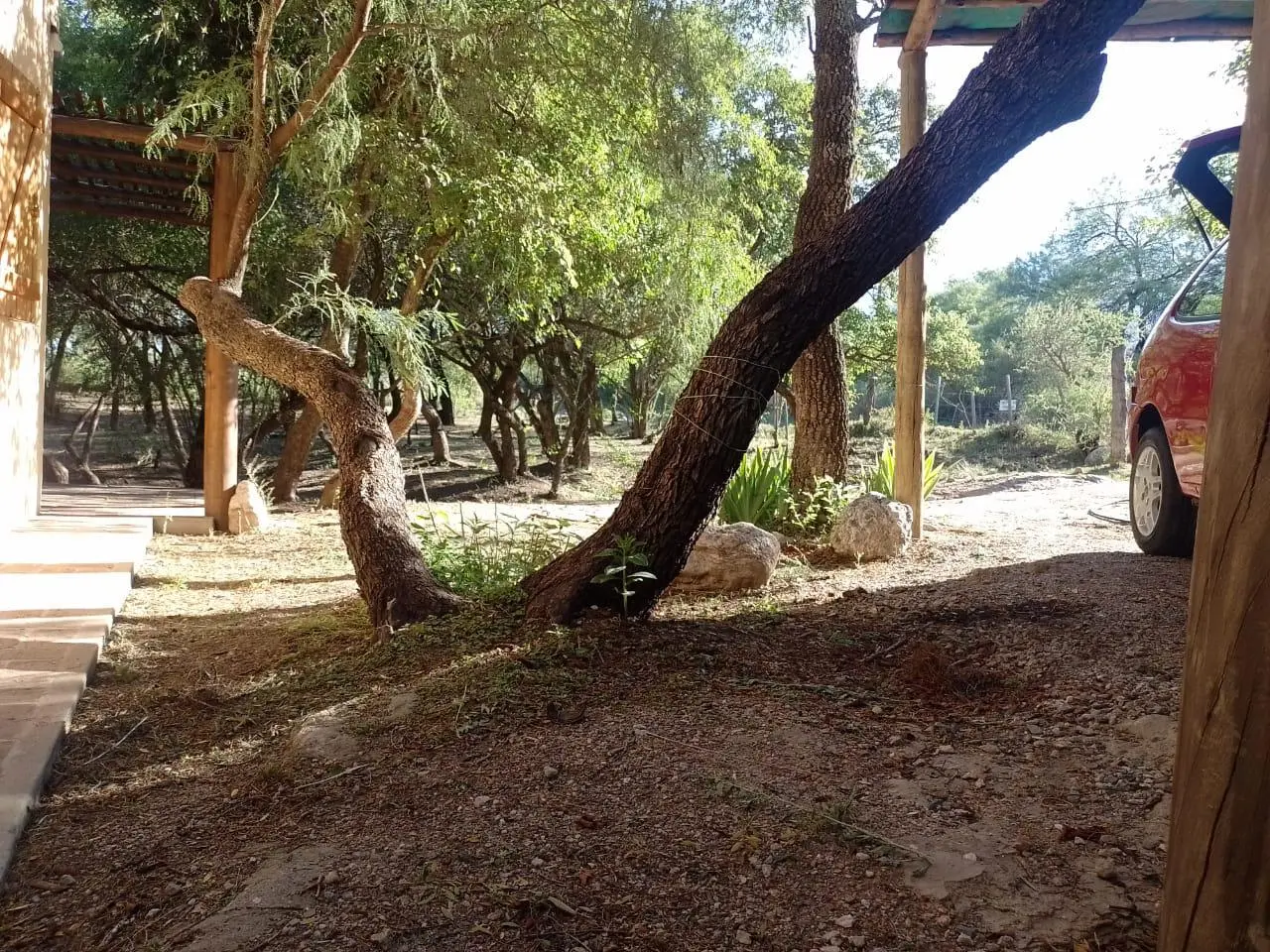 Foto 14