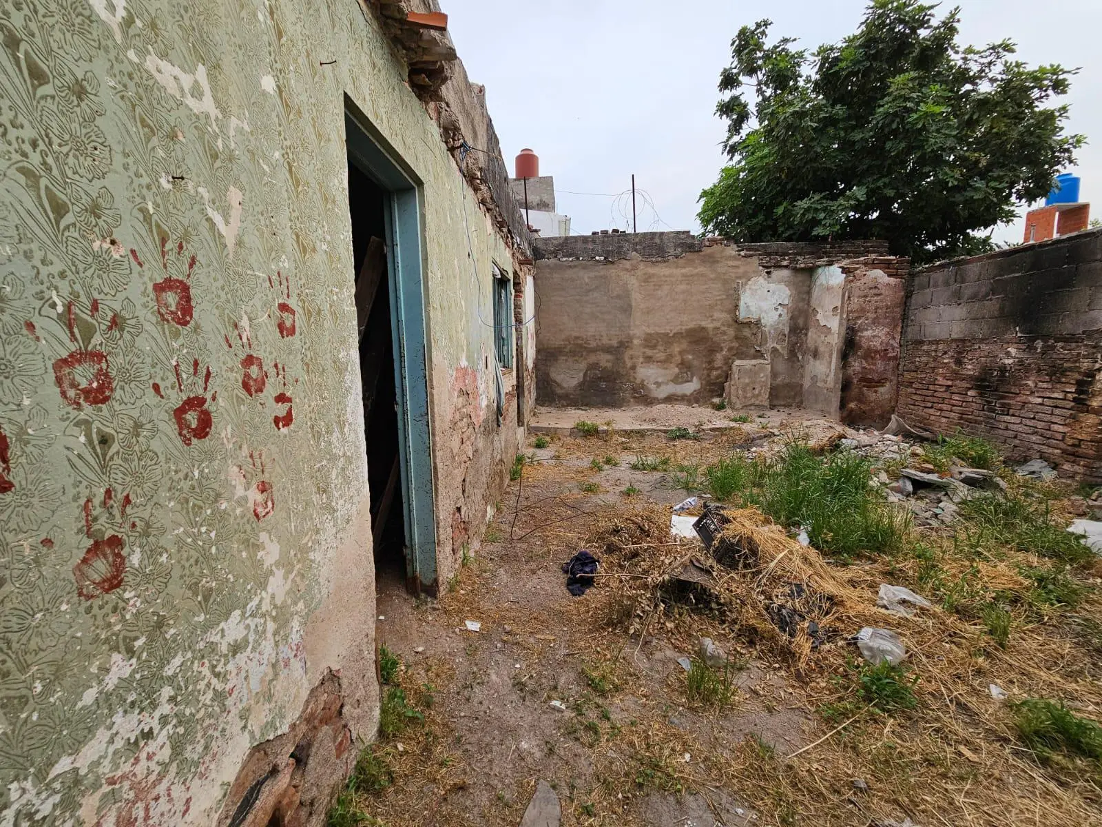 Foto 8