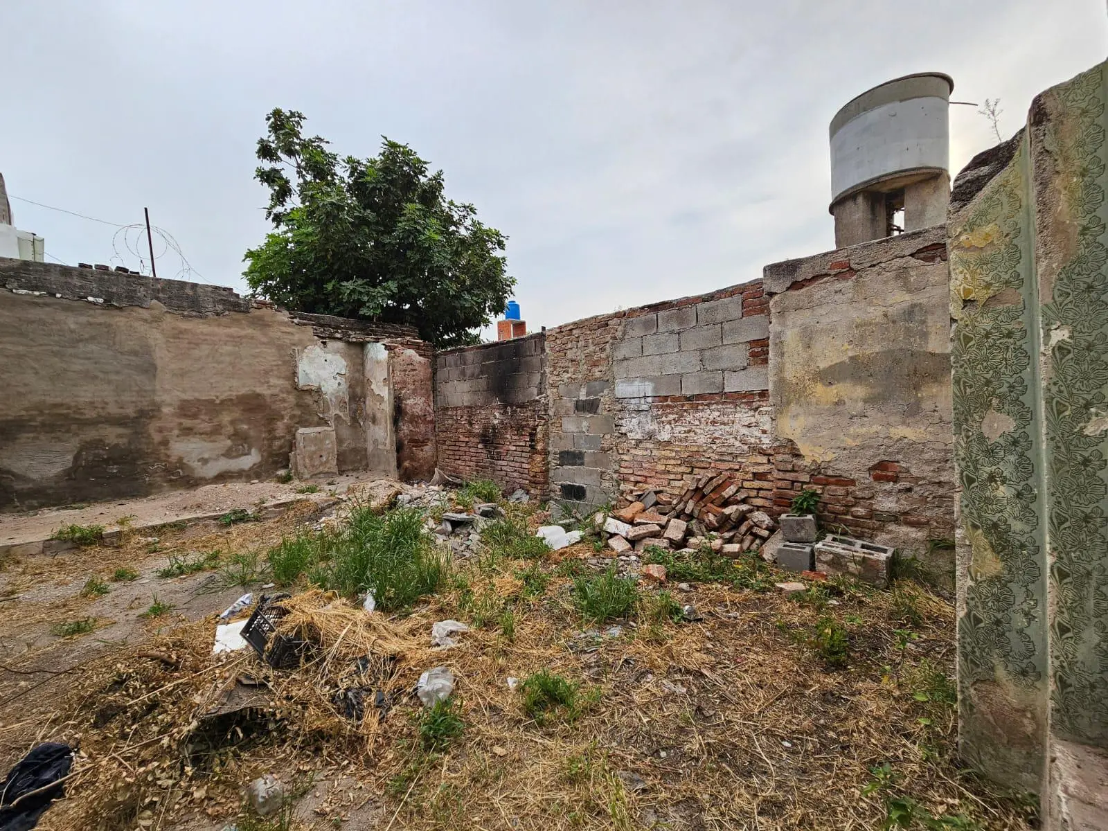 Foto 11