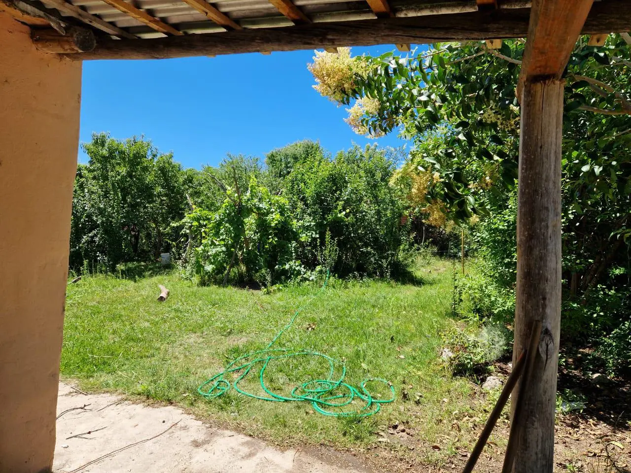 Foto 10