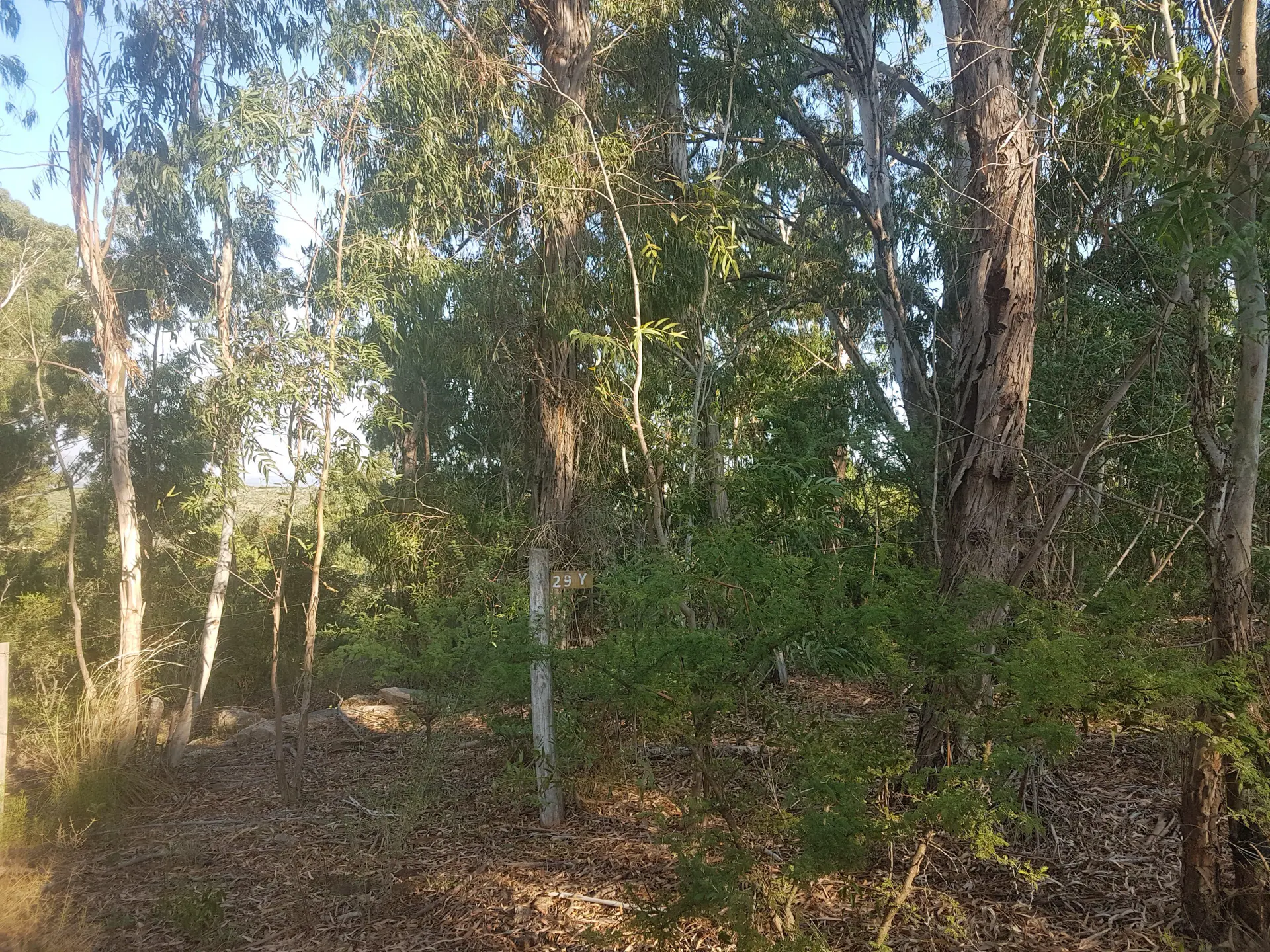 Foto 25
