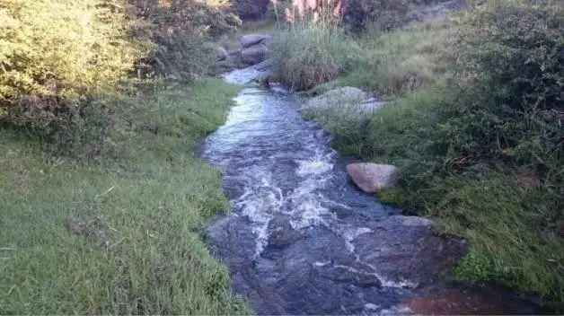 Foto 15