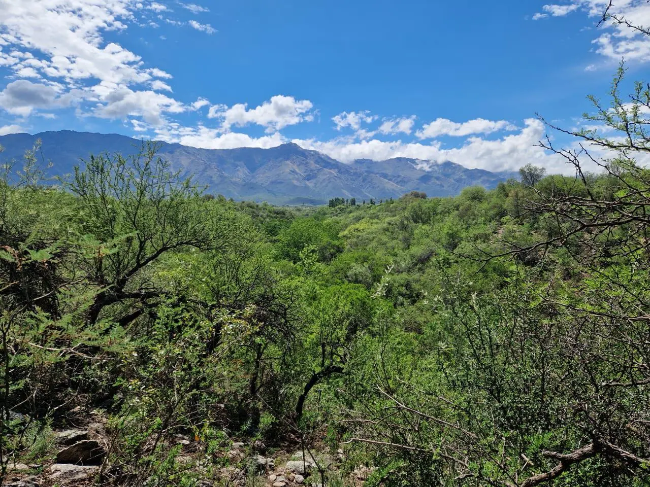 Terreno en venta · San Javier, Córdoba