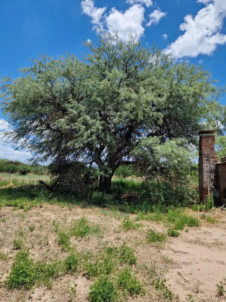 Terreno en venta · La Paz, San Javier, Córdoba