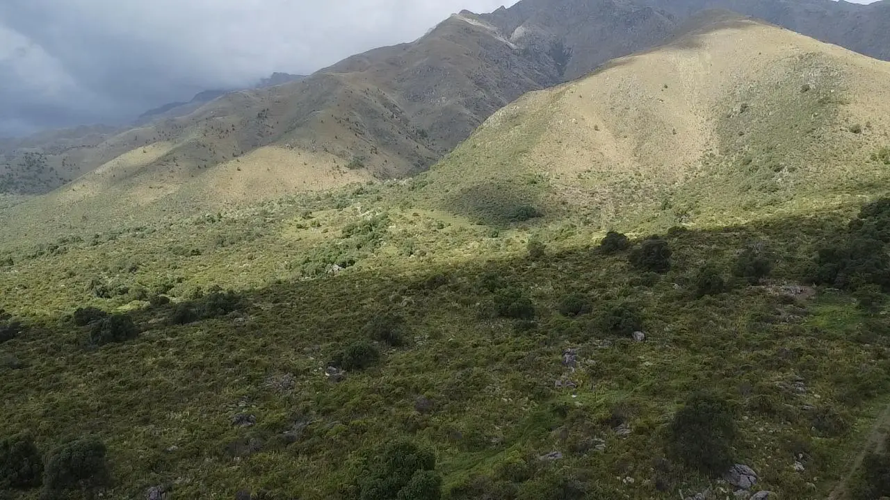 Foto 15