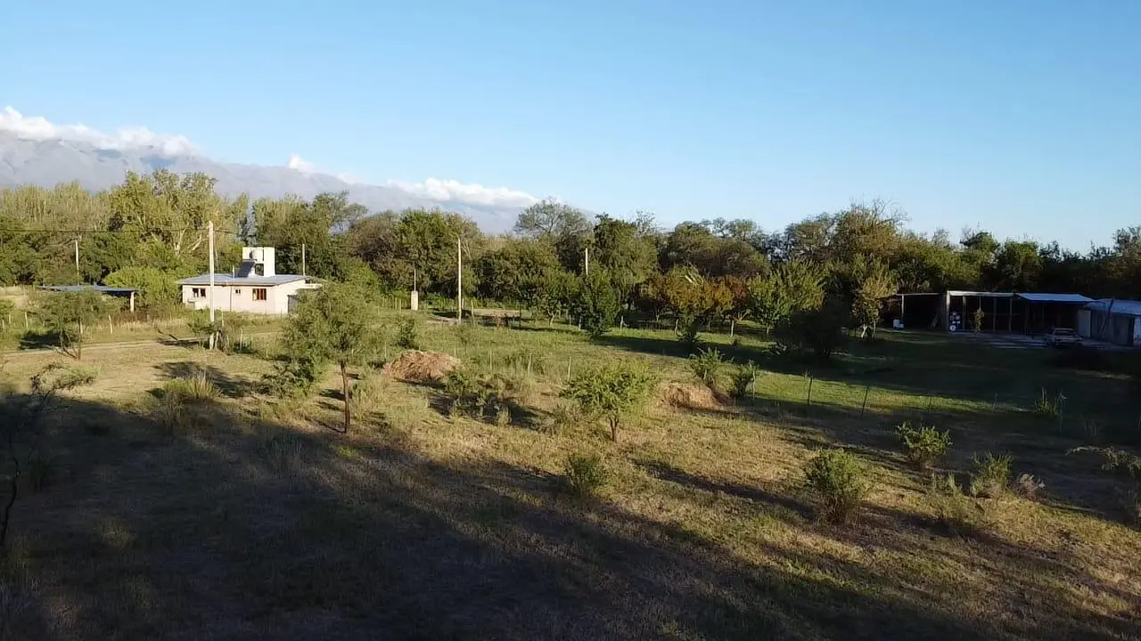 Foto 10