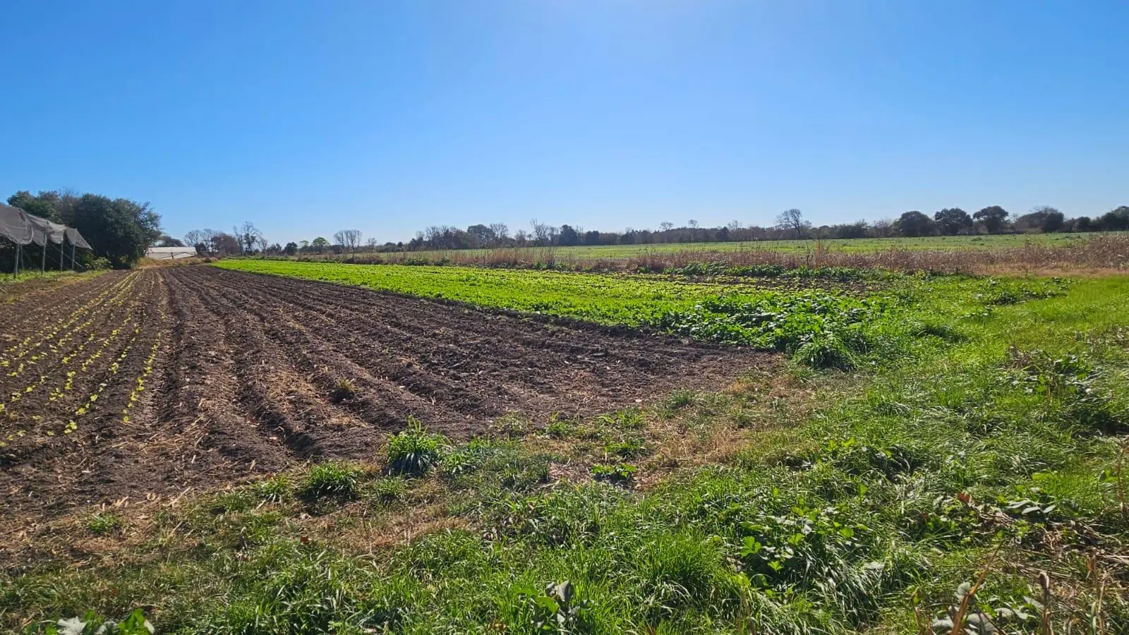 Terreno en venta · Colonia Caroya, Colon, Córdoba